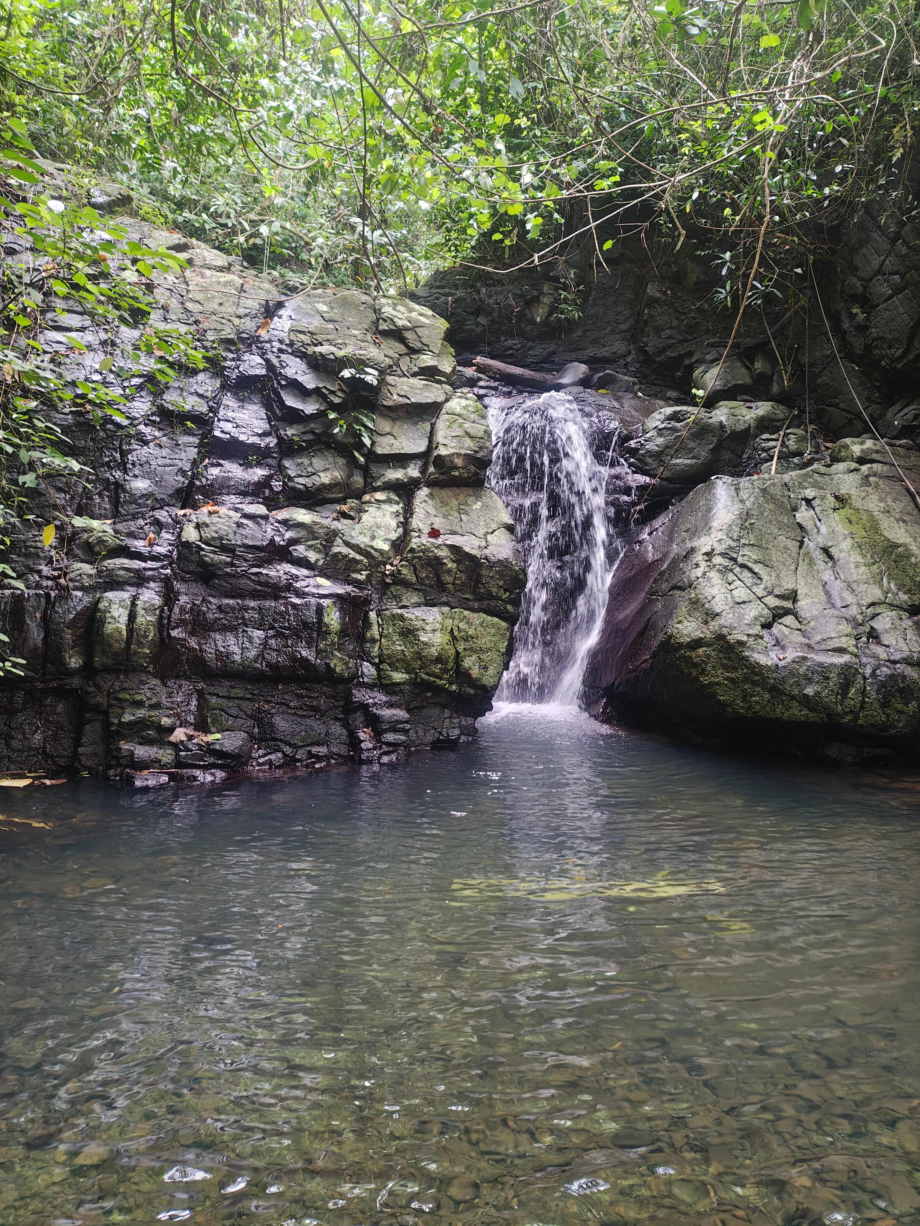Waterfall in the grounds of the Koro Sun Resort.