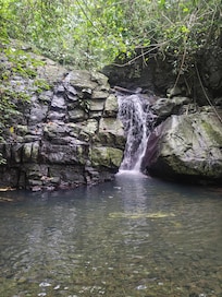 Waterfall in the grounds of the Koro Sun Resort.