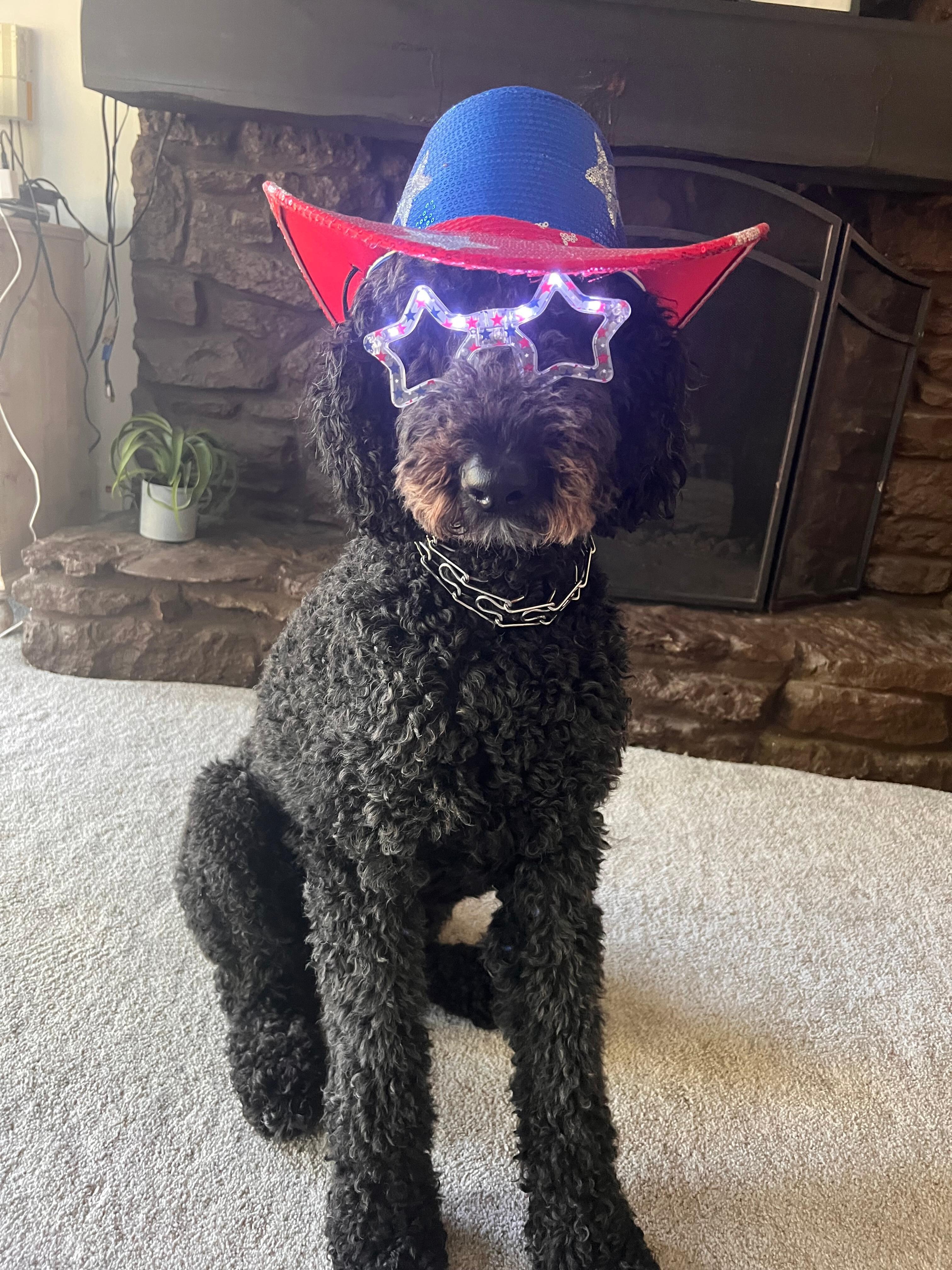 Norman was celebrating the 4th!