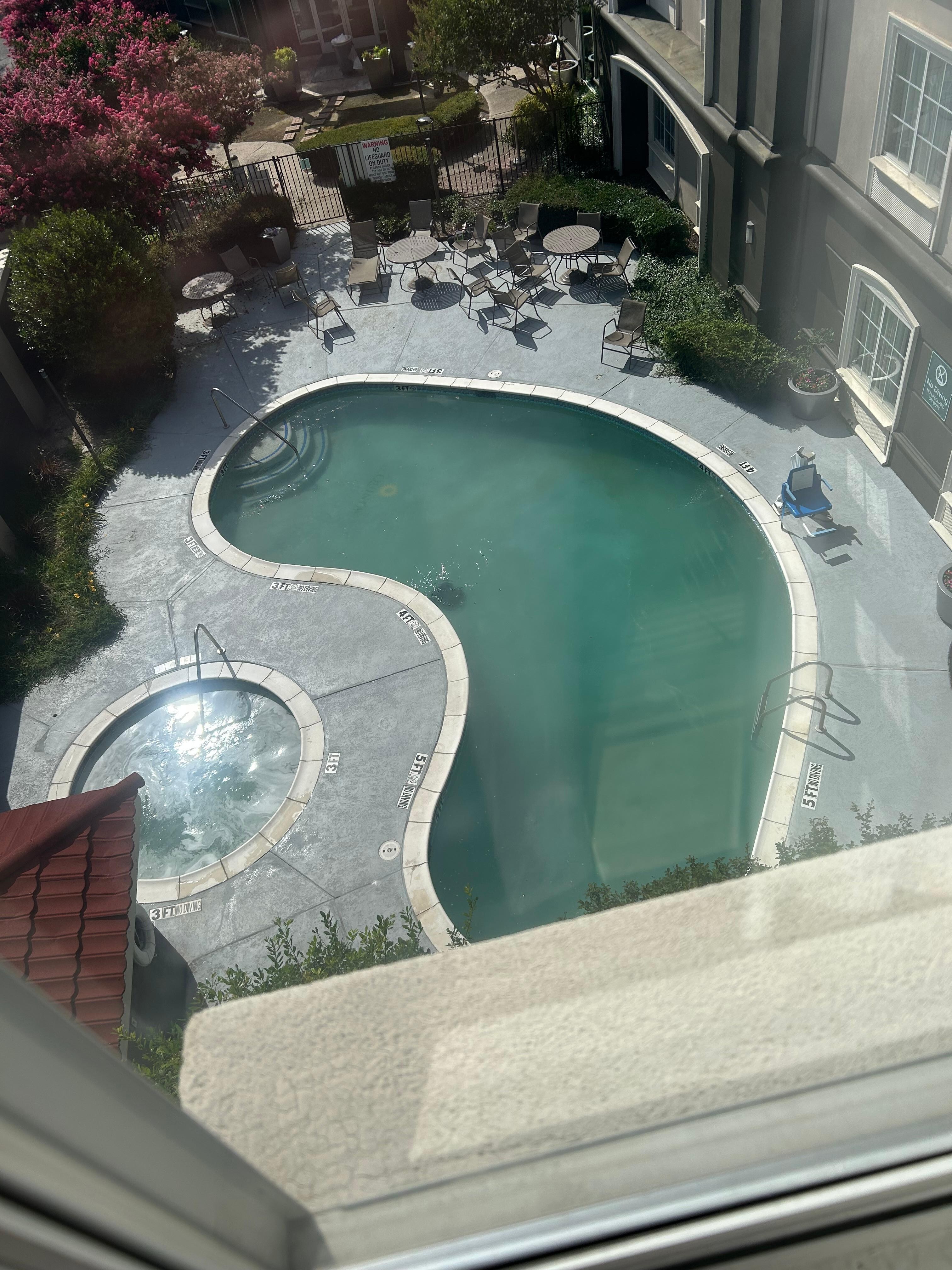 Green pool 