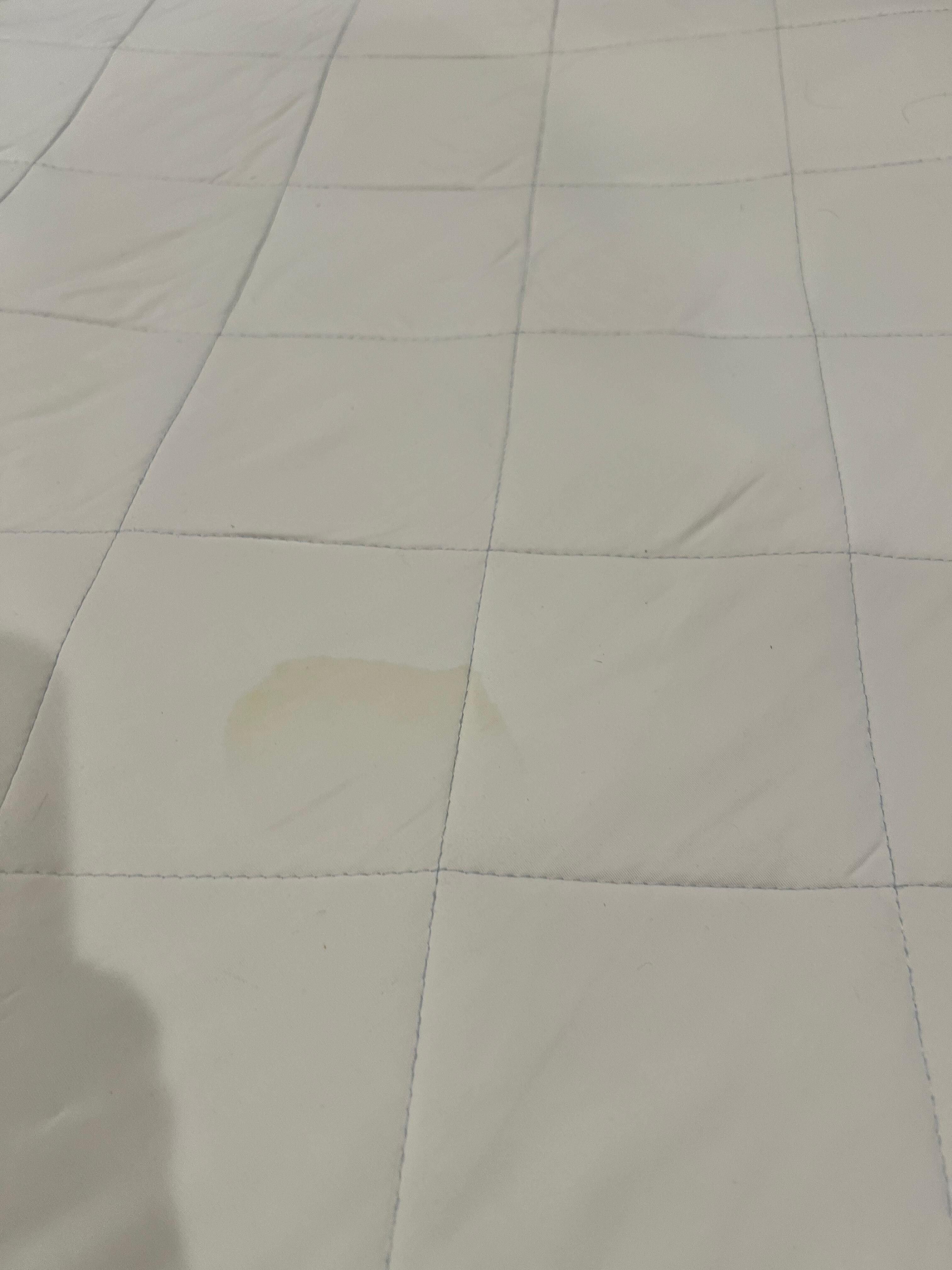 Mattress stains/hairs