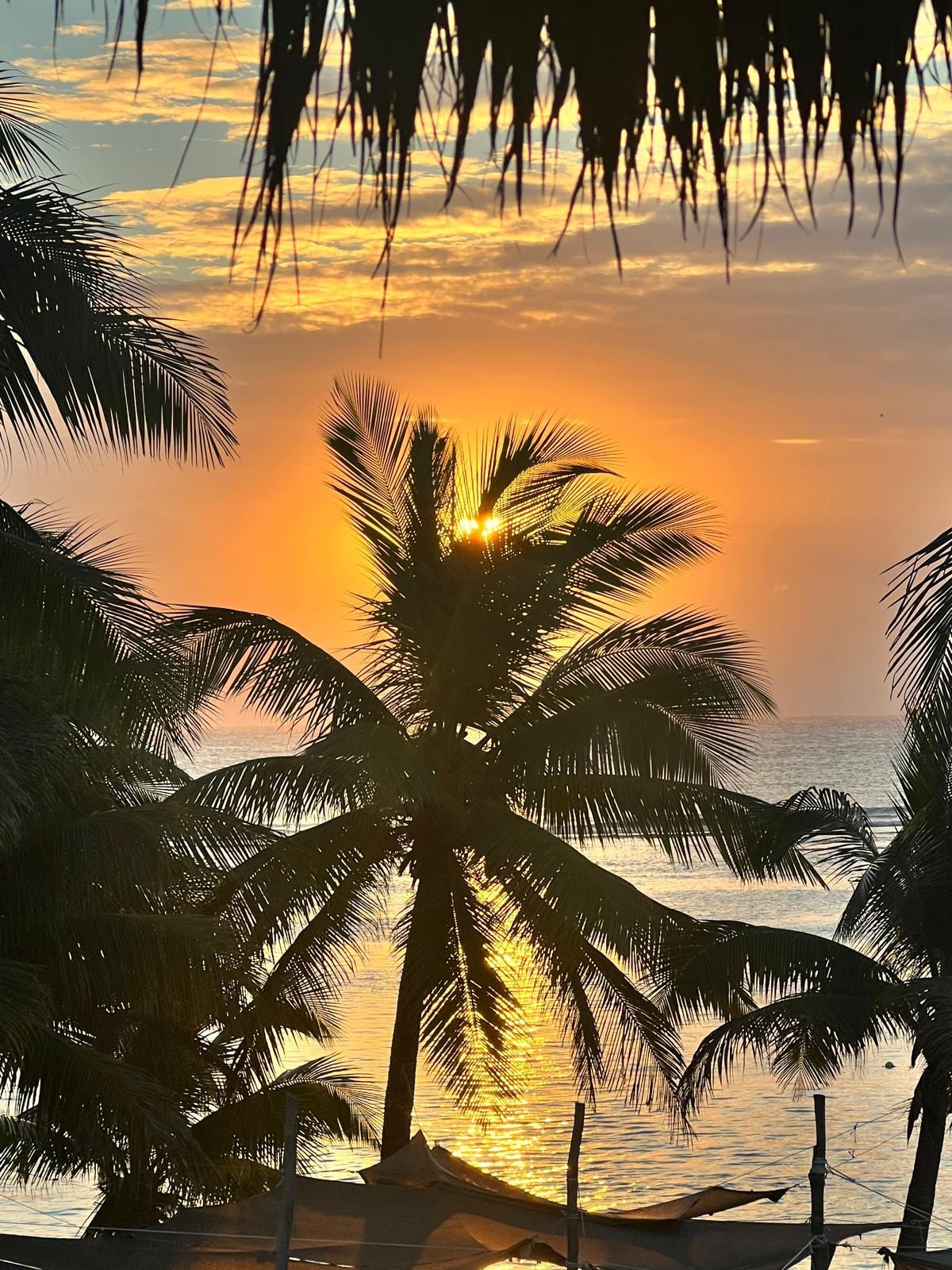 Sunrise outside our apartment 