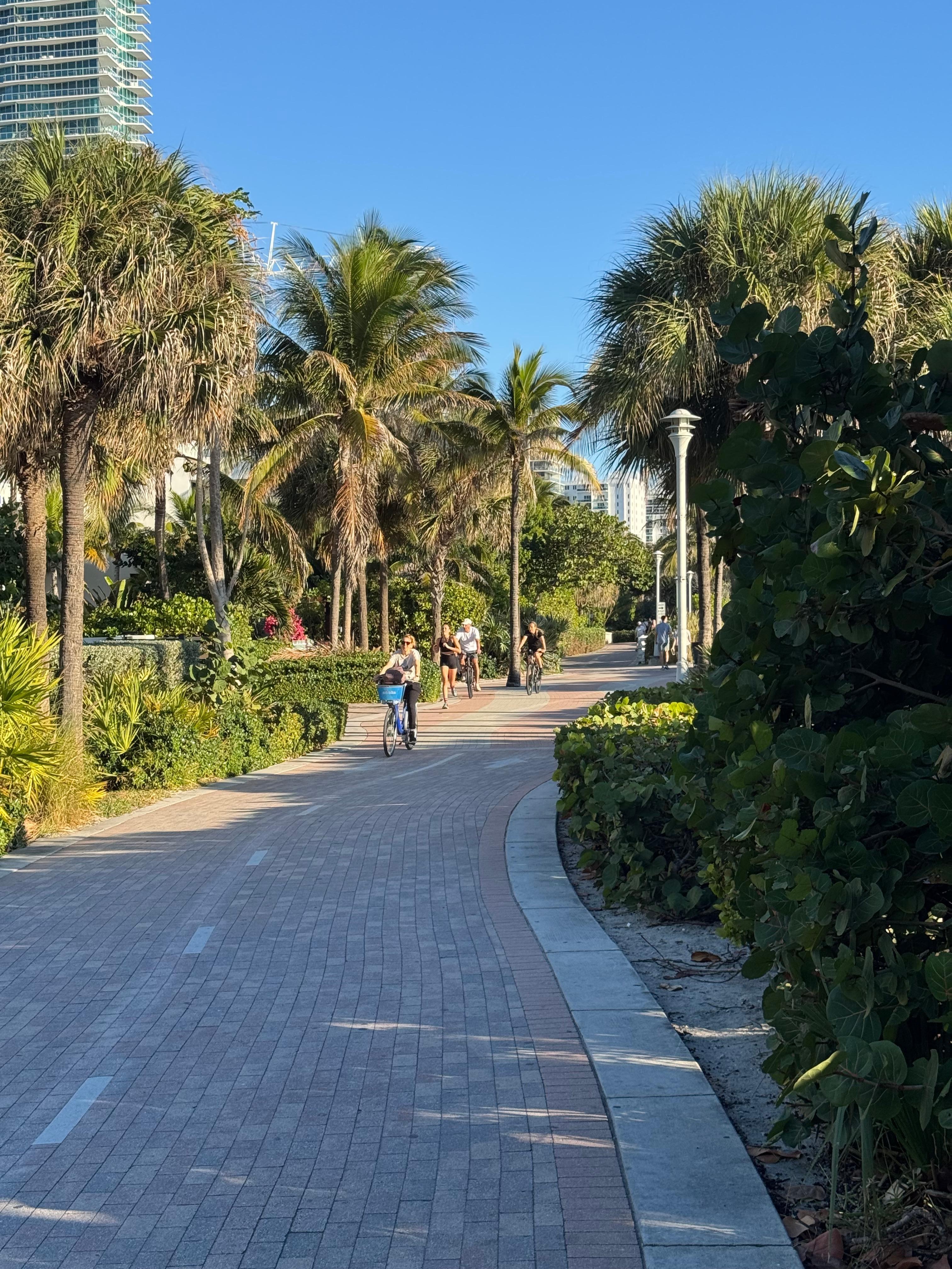 Miami Beach path right outside 