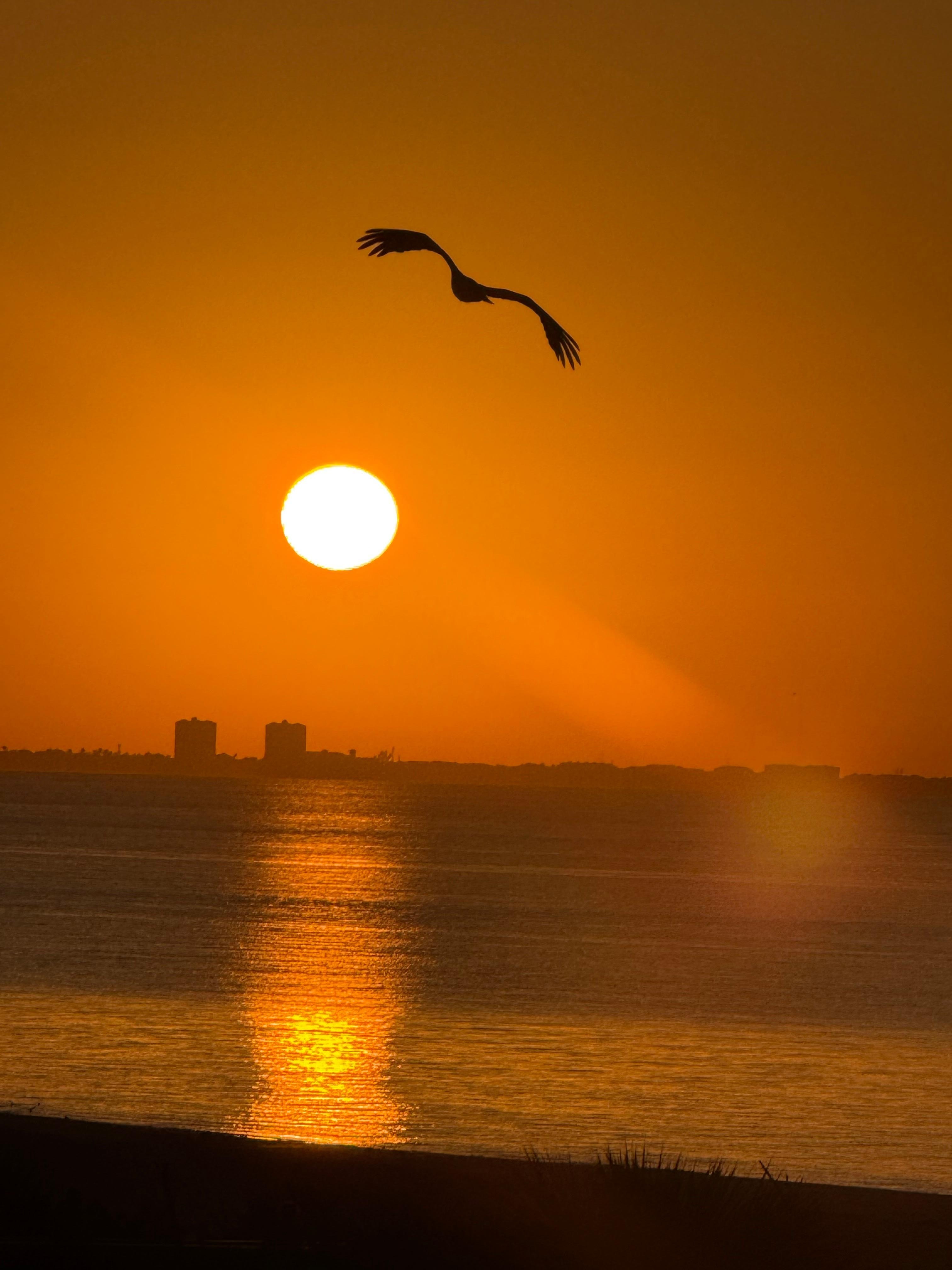 Sunrise right outside your door! 