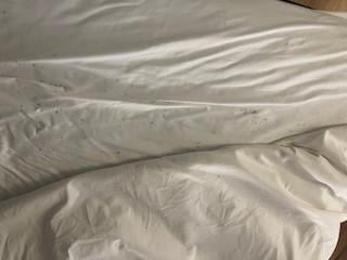 also on top of the comforter