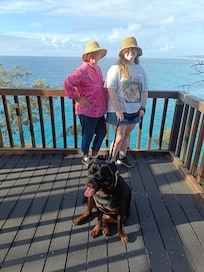 On a viewing platform on the gorge walking track