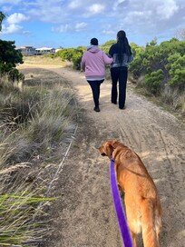 Great walking tracks