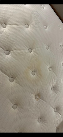 Urine stain