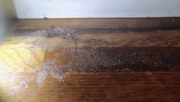 Big spill on dining room floor.. dark hardly any lighting but no excuse this thing was huge thick covered in hair food particles dust Its humongous..when you would In the dining room shoes would stick in certain spots