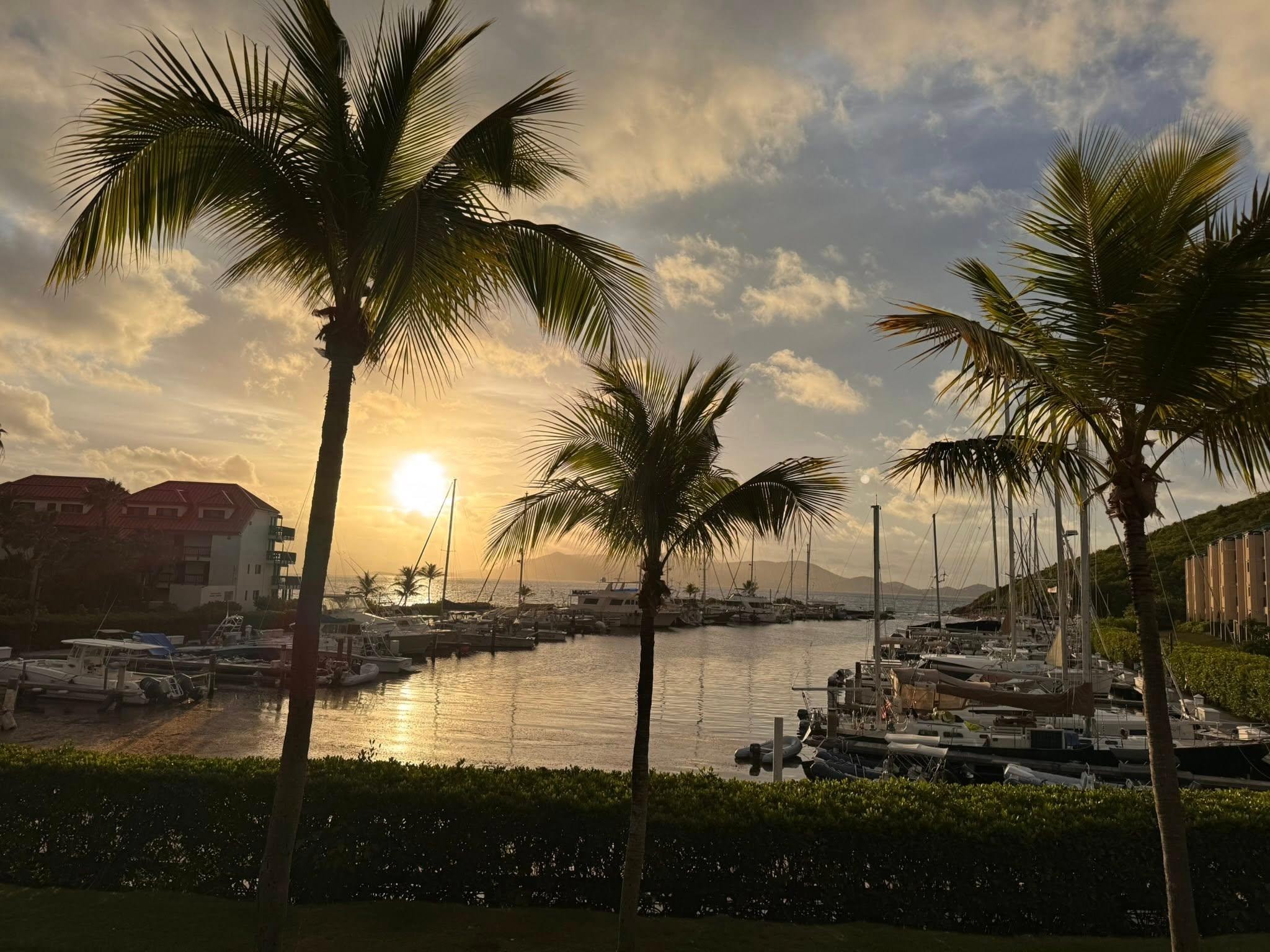 Beautiful sunrise everyone morning