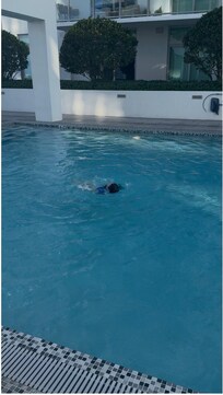 Pool gets NO sun, all day.