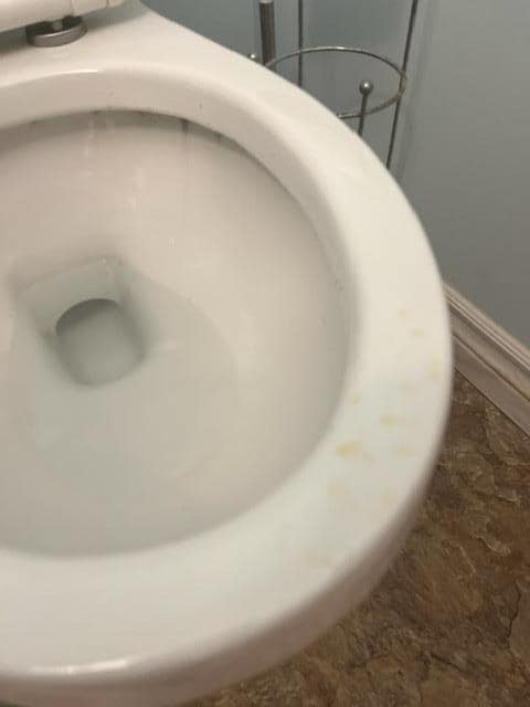 Urine on toilet seat