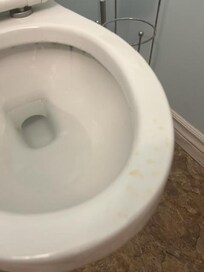 Urine on toilet seat