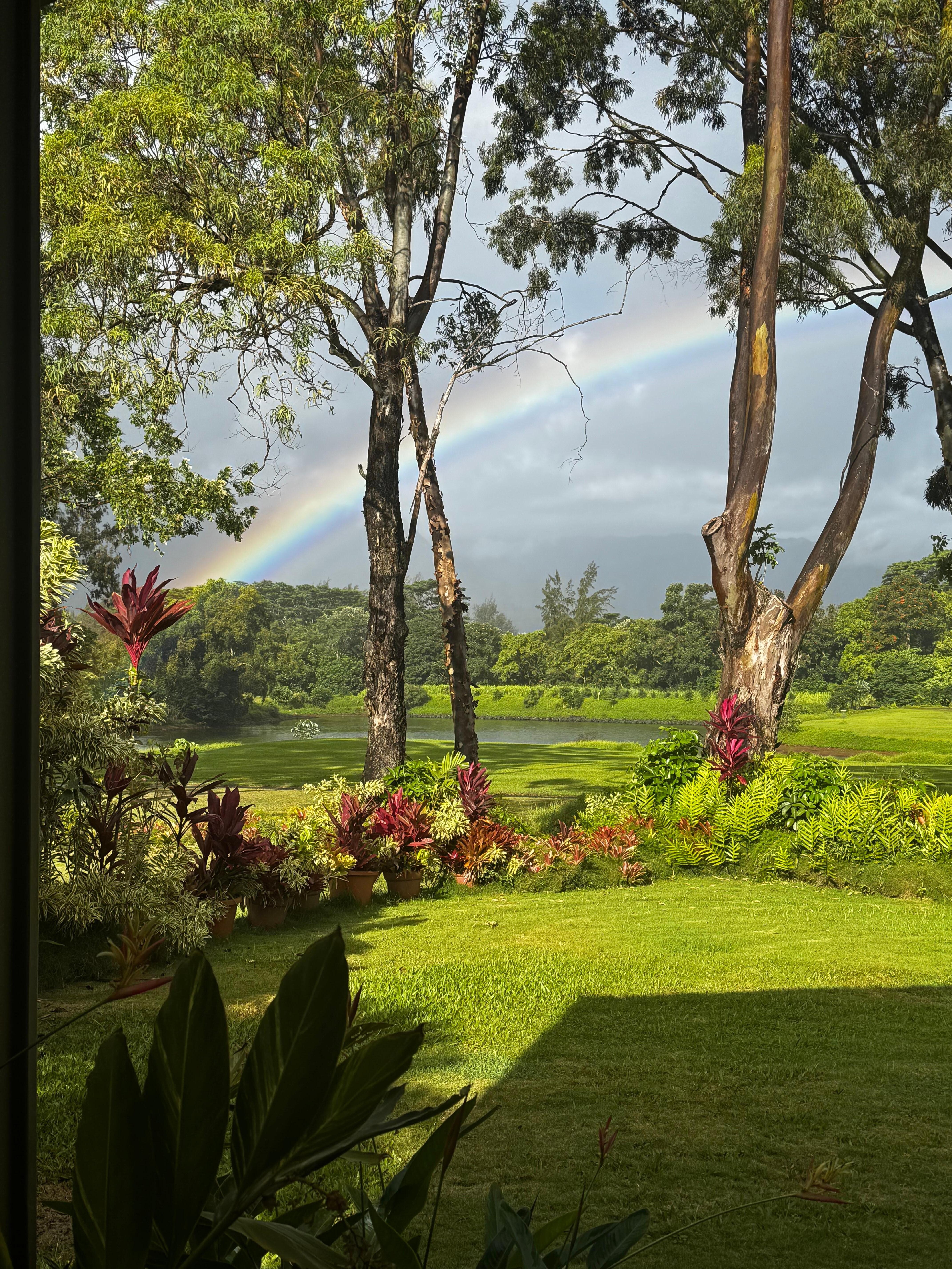 Back porch rainbow 