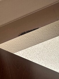 Door jam, from door not closing