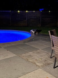 Pool beautiful lights at night.