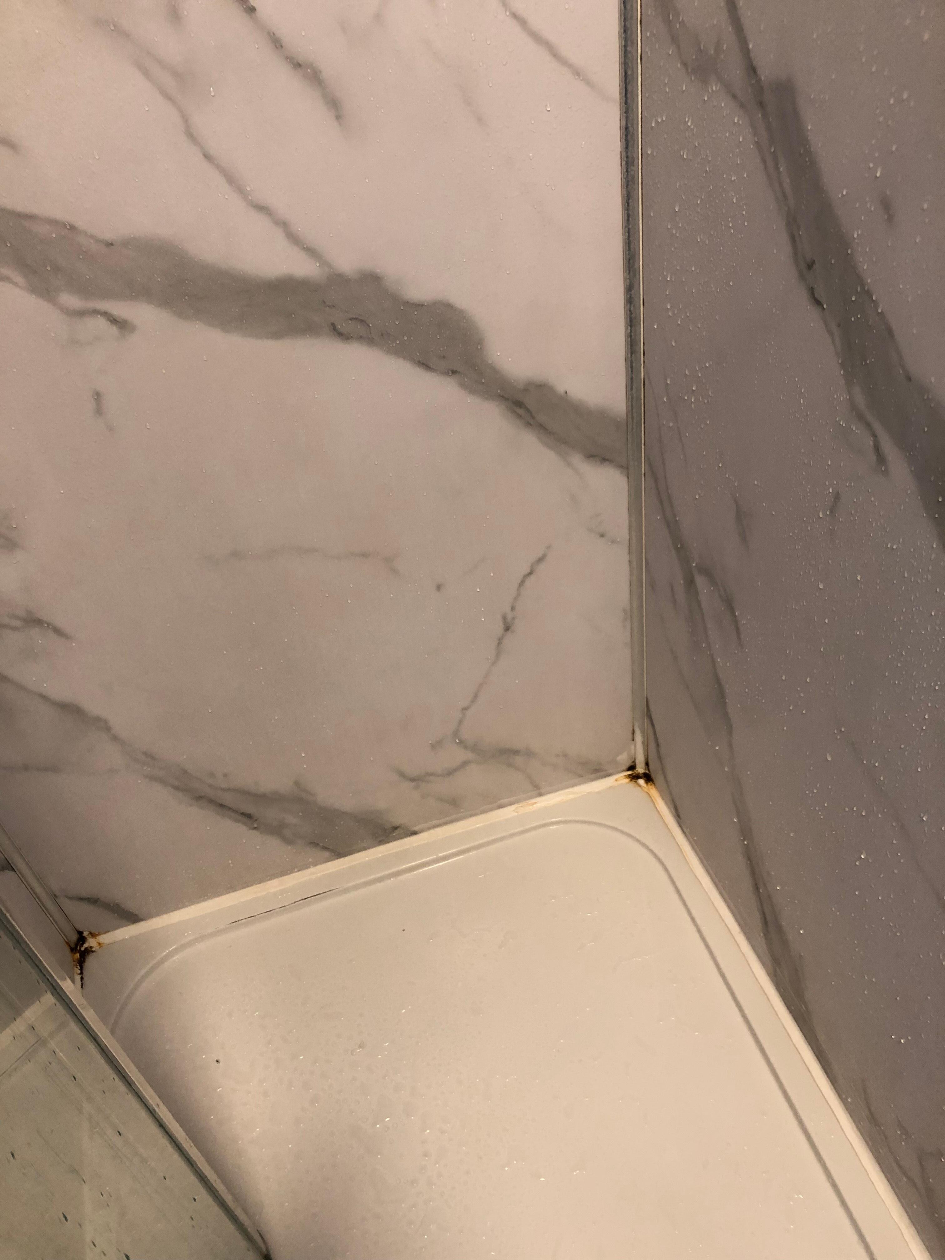 douche avec moisissure