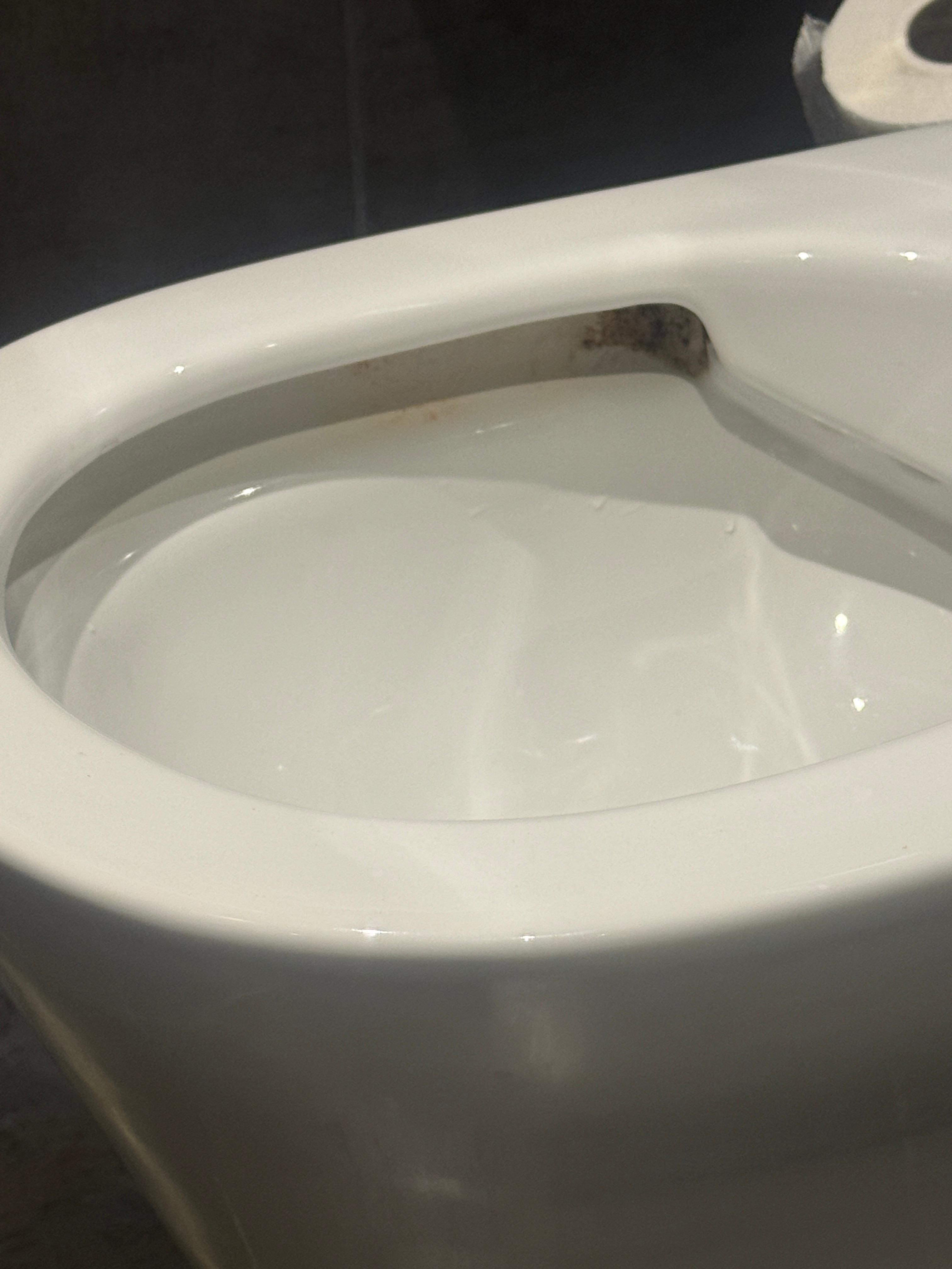 Mould/dirt build up in the toilet bowl