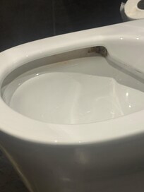 Mould/dirt build up in the toilet bowl