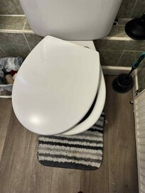Broken upstairs toilet seat