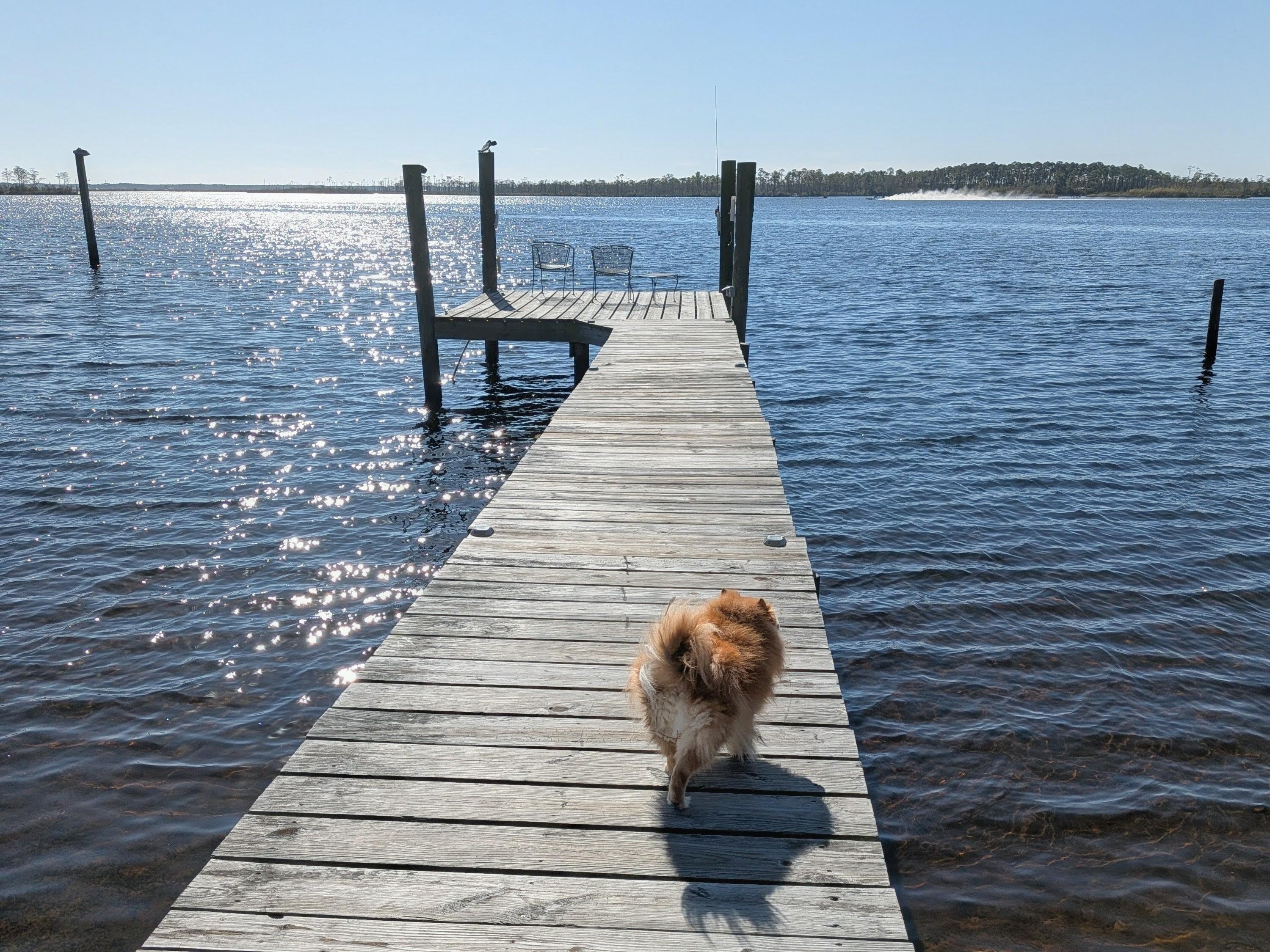 We spent a lot of time on the pier fishing, enjoying morning coffee and afternoon drinks. 
