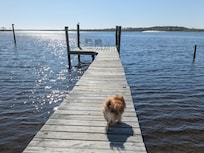 We spent a lot of time on the pier fishing, enjoying morning coffee and afternoon drinks.