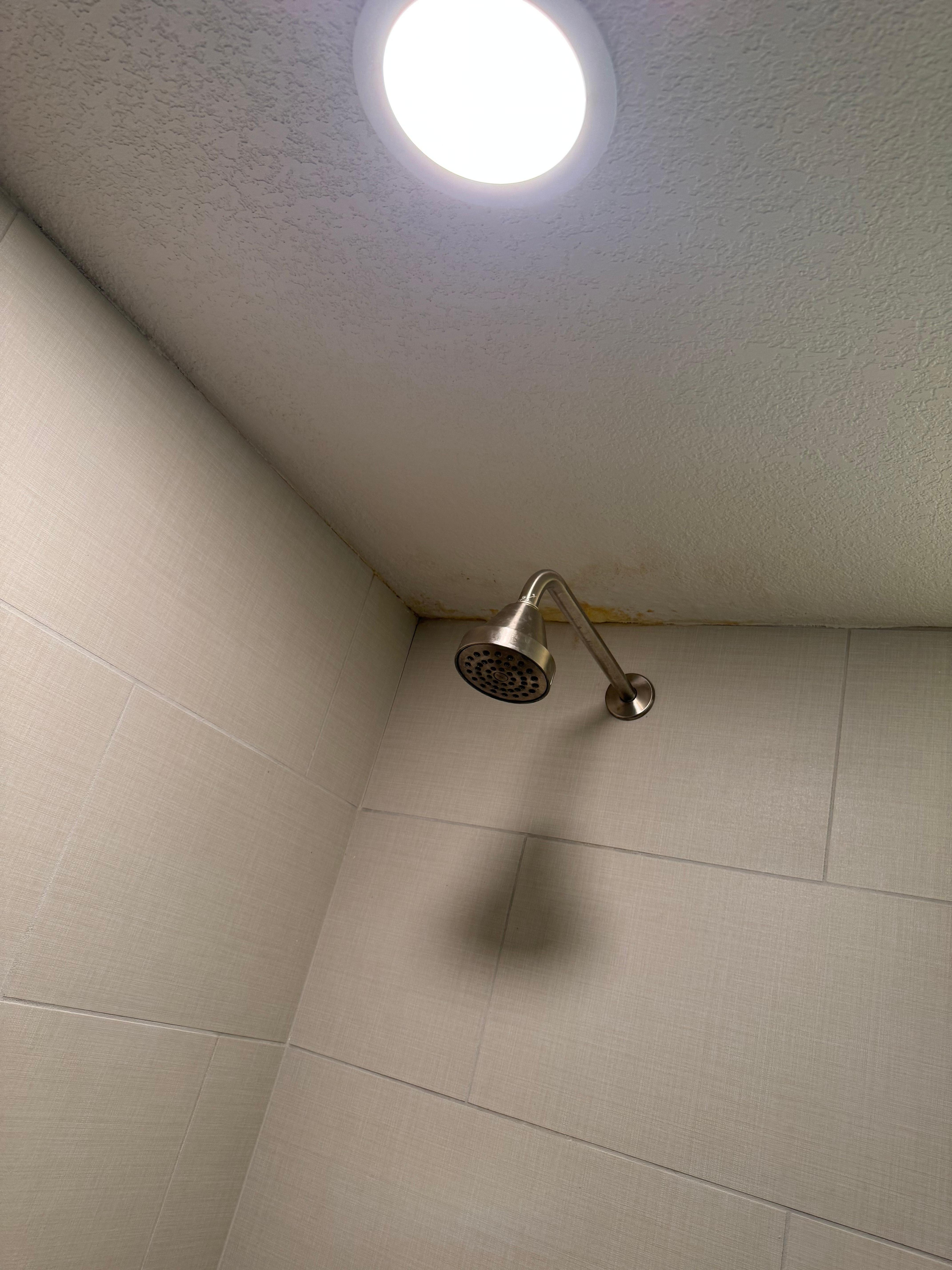Mold on the walls