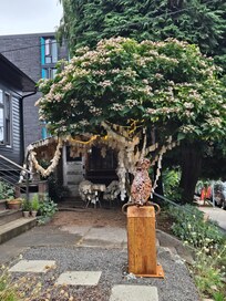 Wishing tree next door.