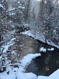 This is the creek a few steps from the back of the house.