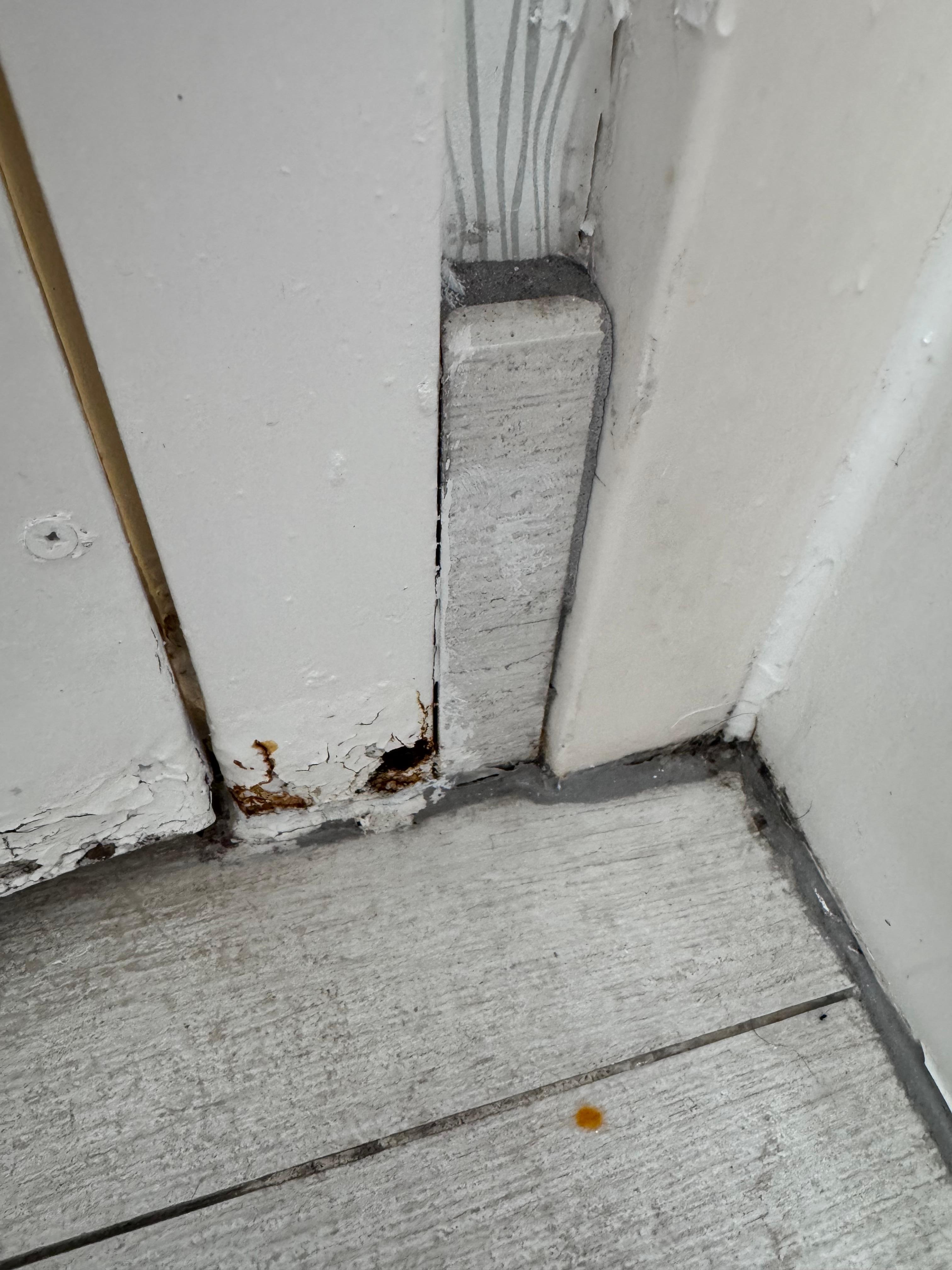 Bathroom corner crud.