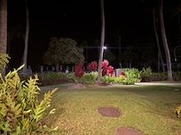 Beautiful foliage at the Villas