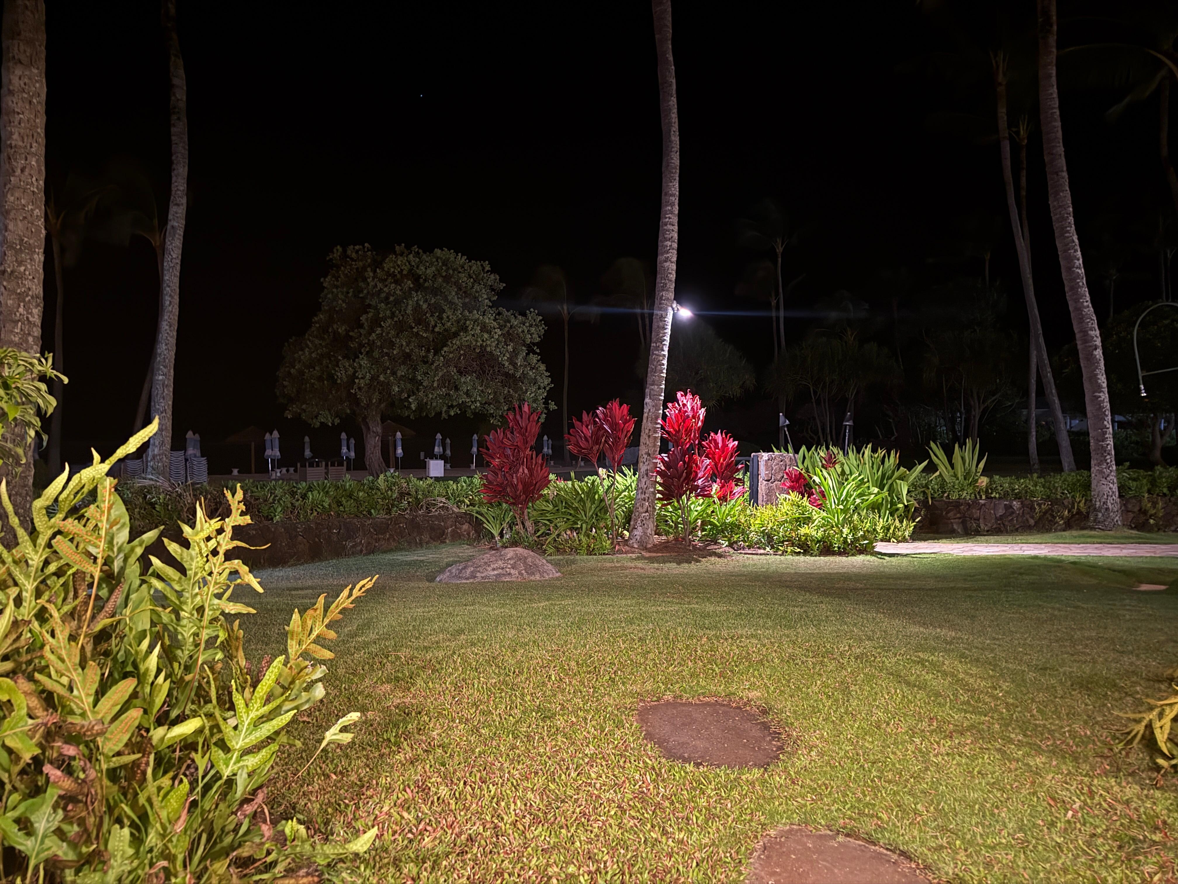 Beautiful foliage at the Villas