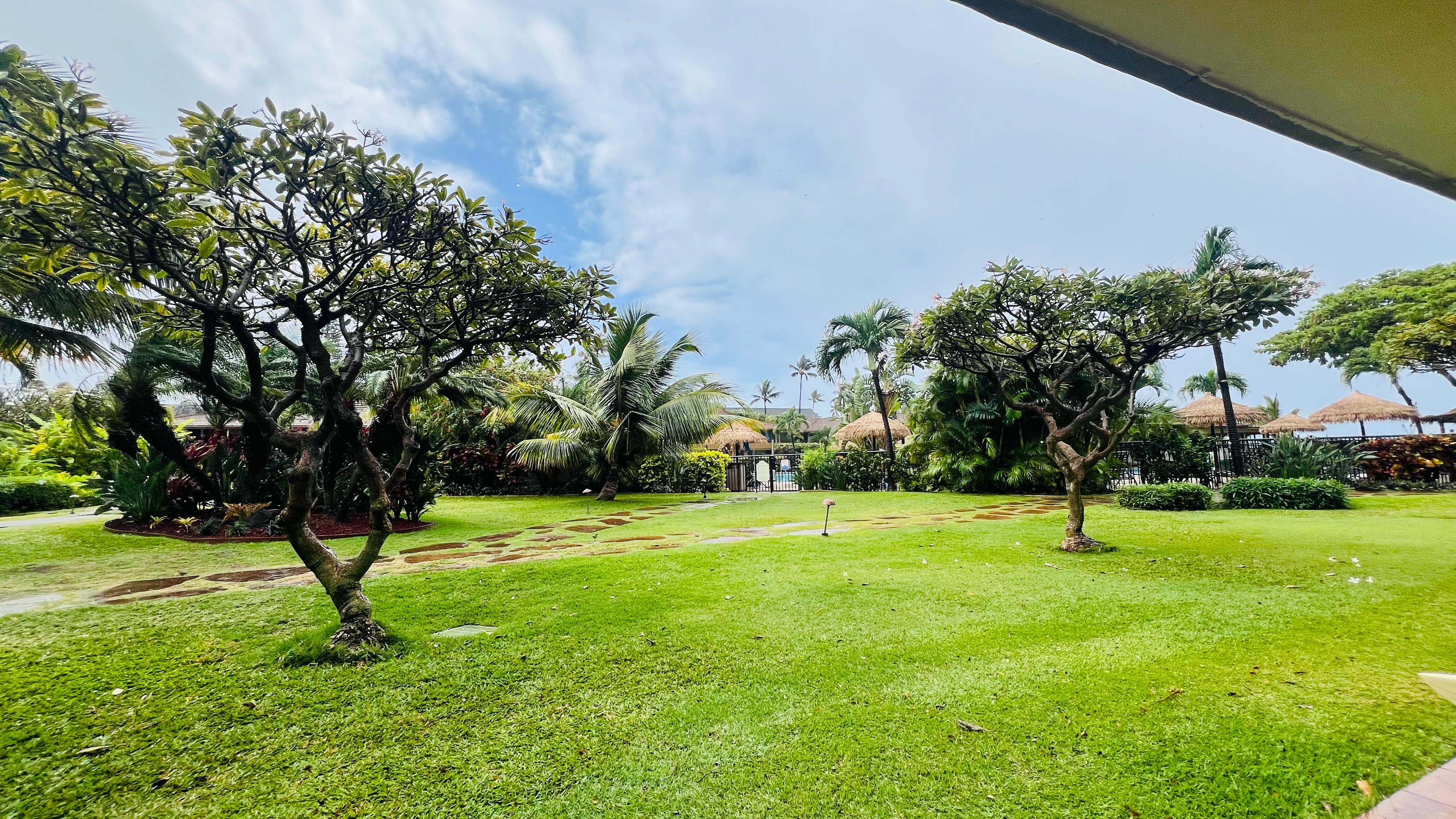 the view from our patio towards the pool