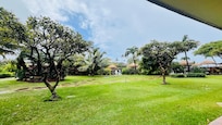 the view from our patio towards the pool
