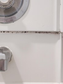 Mold in the bathtub area