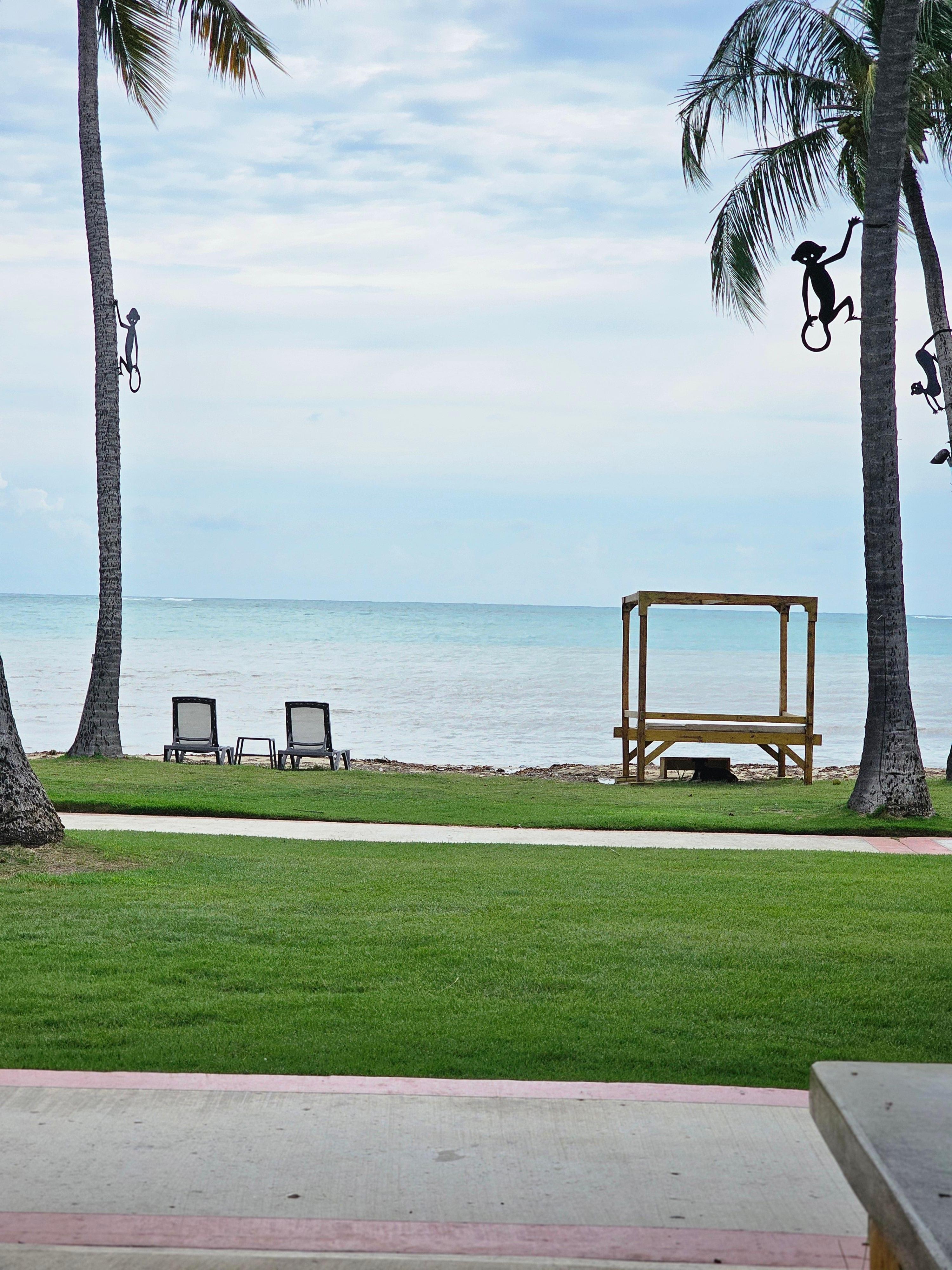 Vista desde el Restaurante Las Palmas