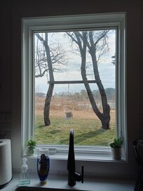 View from kitchen window