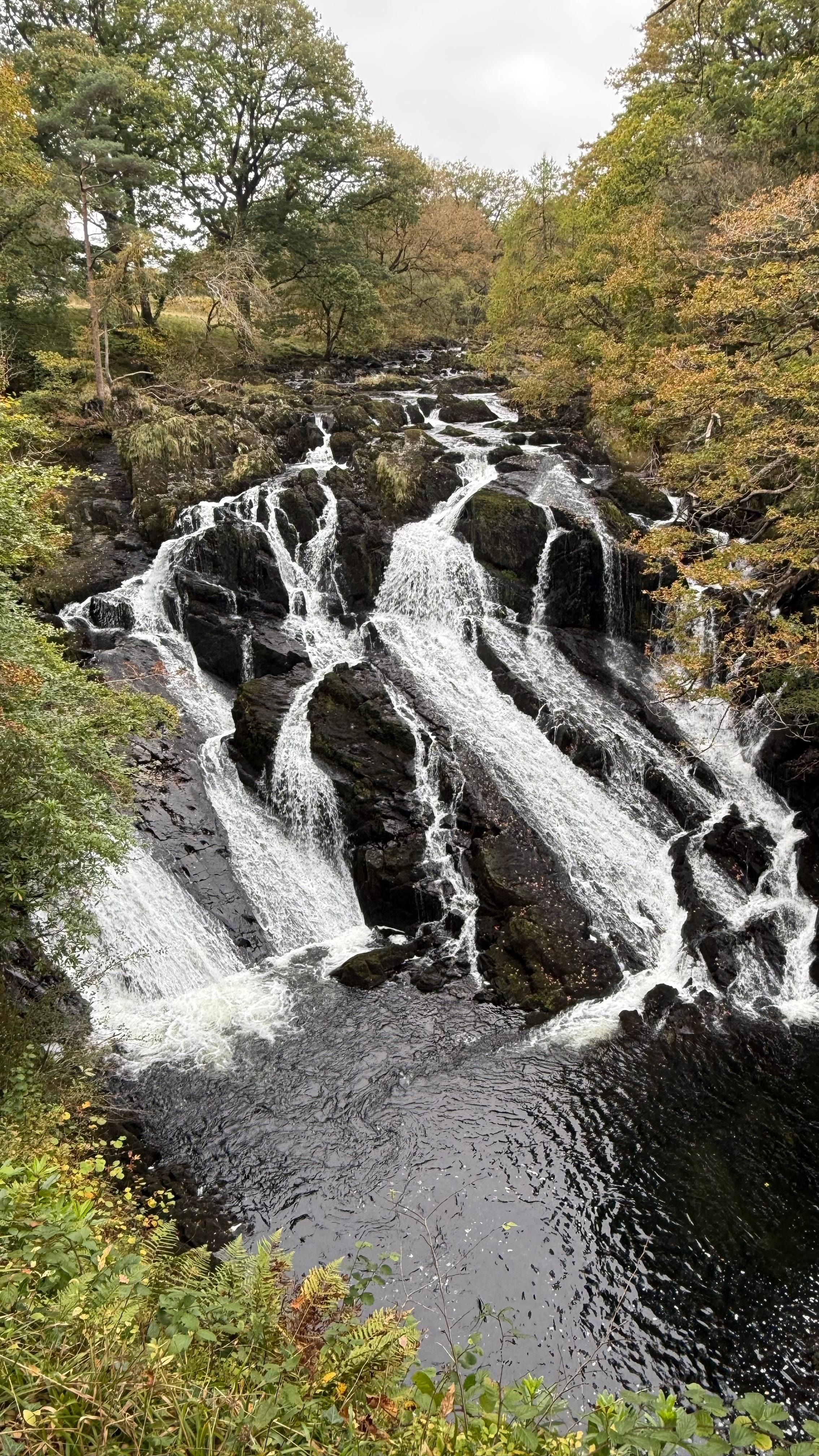 Swallow Falls