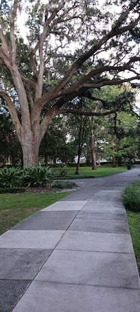 Forsyth Park