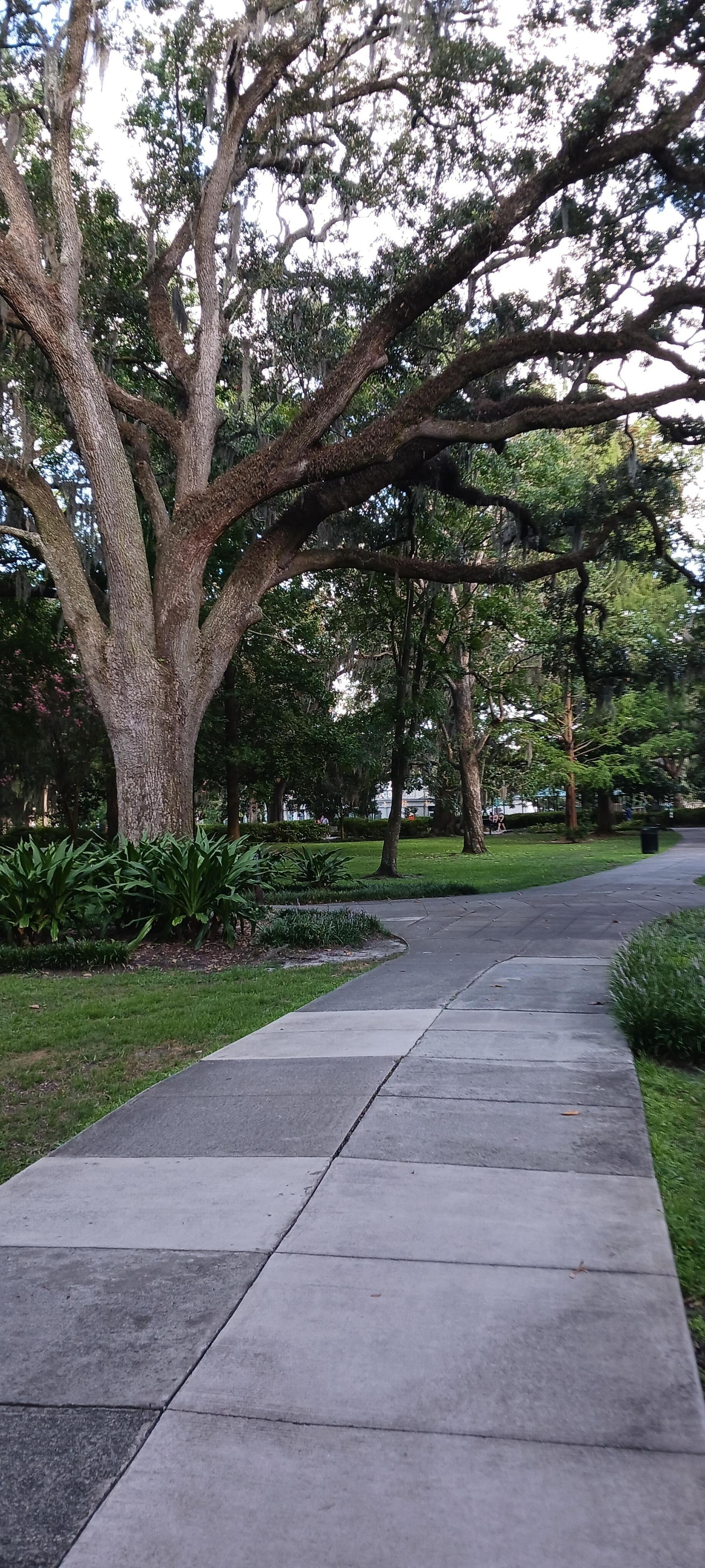 Forsyth Park
