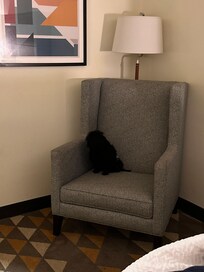 My dog felt the chair was the best part!