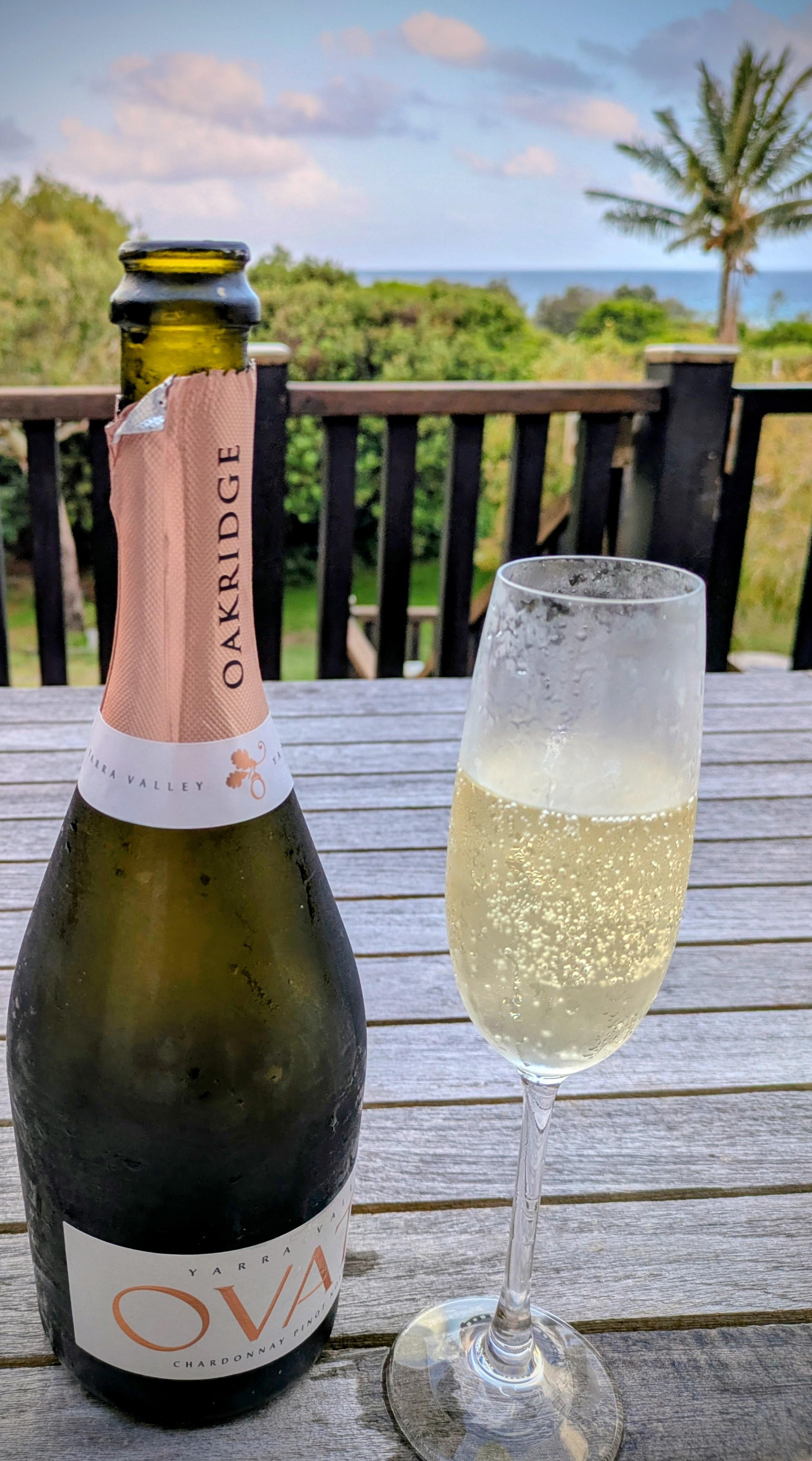 Bubbles looking out to sea