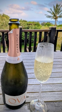 Bubbles looking out to sea