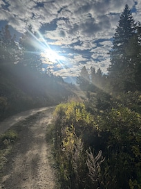 The driveway up from the cabin. Absolutely beautiful!!
