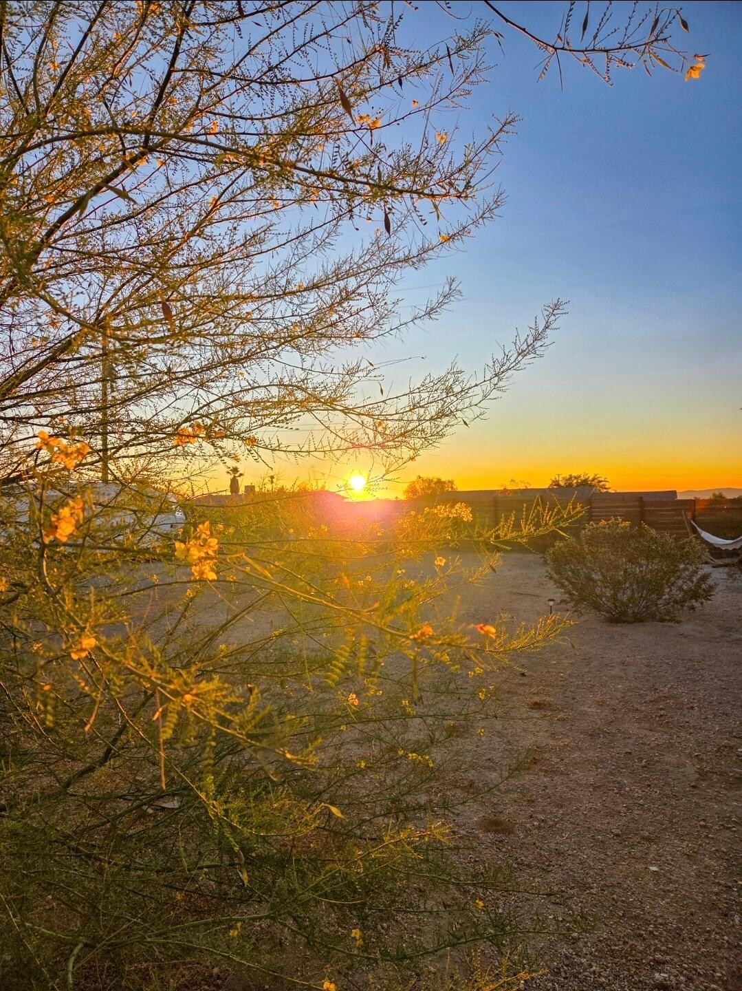 Beautiful sunrise