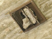 Dryer vent