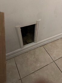 Mystery monster hole?
