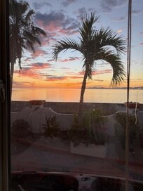 View from the house