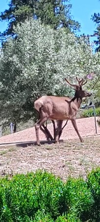 Lots of sights in neighborhood