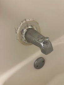 Mold growing around shower faucet